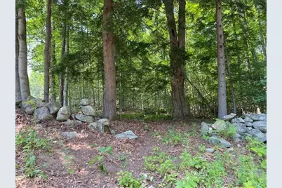 96 Nelson Hill Road, Sutton, NH 03221 - Photo 3