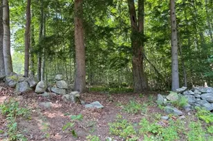 96 Nelson Hill Rd, Sutton, NH 03221 - Photo 3