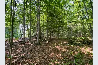 96 Nelson Hill Road, Sutton, NH 03221 - Photo 9