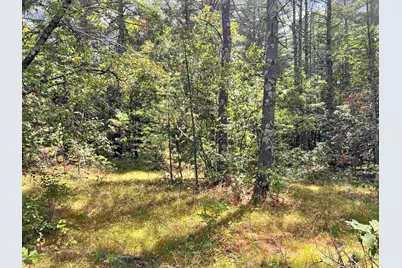 00 Nh Route 3, Bridgewater, NH 03222 - Photo 13