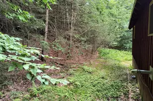 55 Hallwood Dr, Surry, NH 03431 - Photo 31