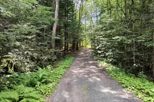 55 Hallwood Dr, Surry, NH 03431 - Photo 37