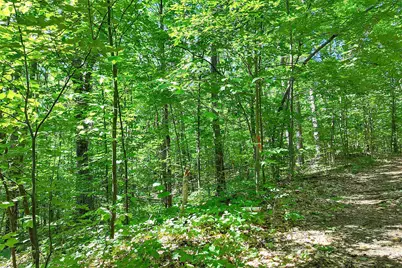 0 Country Drive #Map 254 Lot 98, Conway, NH 03813 - Photo 13
