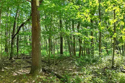0 Country Drive #Map 254 Lot 98, Conway, NH 03813 - Photo 15