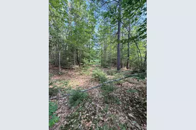 Map 218 Lot 67 Alden Washburn Drive, Tamworth, NH 03886 - Photo 7