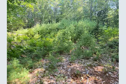 Map 218 Lot 67 Alden Washburn Drive, Tamworth, NH 03886 - Photo 9