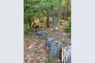 Map 218 Lot 67 Alden Washburn Drive, Tamworth, NH 03886 - Photo 11