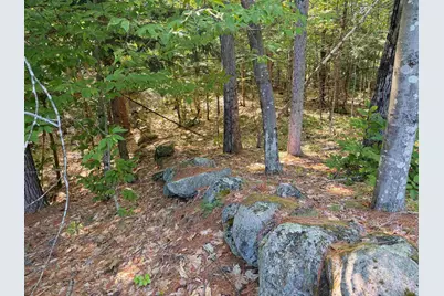 Map 218 Lot 67 Alden Washburn Drive, Tamworth, NH 03886 - Photo 1