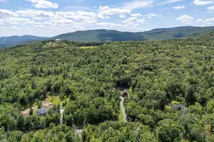 827 Mt Cardigan Rd, Alexandria, NH 03222 - Photo 57
