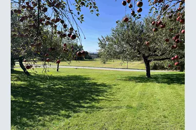 709 Jockey Hill Road, Landaff, NH 03585 - Photo 13