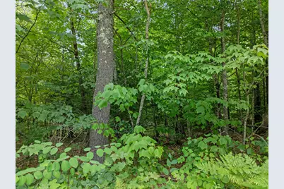 00 Gilman Point Road #2, Moultonborough, NH 03254 - Photo 25