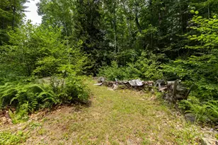 973 Meany Rd, Charlestown, NH 03603 - Photo 49
