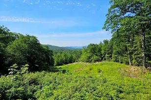 29 Mollie Rd, Bridgewater, NH 03222 - Photo 1