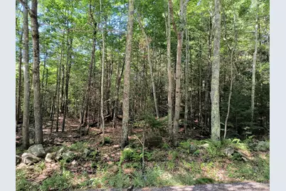 Map 7 Lot 33.5 Jaffrey Road, Marlborough, NH 03455 - Photo 5
