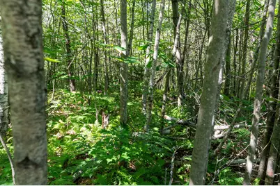 2 Boulder Point Drive, Plymouth, NH 03264 - Photo 19