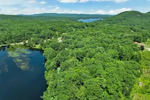 10 Masquanipi Dr, Antrim, NH 03440 - Photo 37