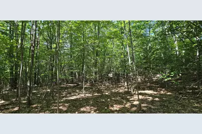 406-17 Guinea Ridge Road, Gilmanton, NH 03237 - Photo 5