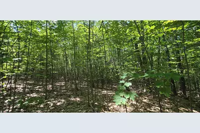 406-17 Guinea Ridge Road, Gilmanton, NH 03237 - Photo 3