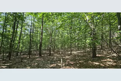 406-17 Guinea Ridge Road, Gilmanton, NH 03237 - Photo 13