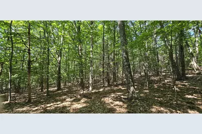 406-17 Guinea Ridge Road, Gilmanton, NH 03237 - Photo 9