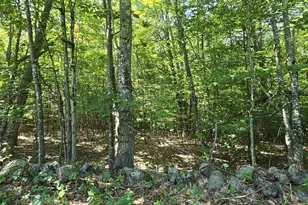 406-17 Guinea Ridge Rd, Gilmanton, NH 03237 - Photo 1