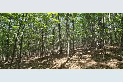 406-19 Guinea Ridge Road, Gilmanton, NH 03237 - Photo 13