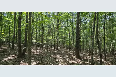 406-19 Guinea Ridge Road, Gilmanton, NH 03237 - Photo 3