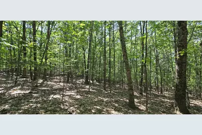 406-19 Guinea Ridge Road, Gilmanton, NH 03237 - Photo 5