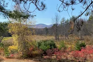 44 Pleasant View Rd, Bradford, NH 03221 - Photo 17