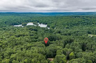 357 Brown Hill Rd, Belmont, NH 03220 - Photo 55