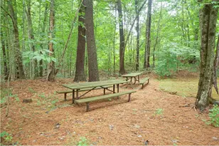 25 Villager Rd, Chester, NH 03036 - Photo 51