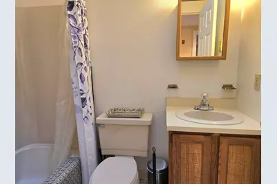 110 Green Hill Road, Conway, NH 03813 - Photo 39