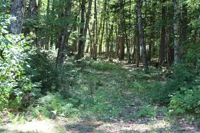 167 Kingman Hill Road, Lisbon, NH 03585 - Photo 33