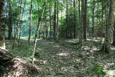 167 Kingman Hill Road, Lisbon, NH 03585 - Photo 11