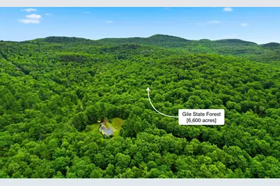 227 Deep Snow Drive, Springfield, NH 03284 - Photo 29