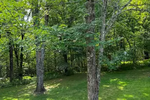 131 Friedsam Dr, Chesterfield, NH 03443 - Photo 9