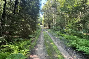78 Valley Rd, New Durham, NH 03855 - Photo 3