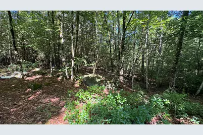 78 Valley Road, New Durham, NH 03855 - Photo 7