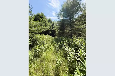 0 Osgood Farm Road, Littleton, NH 03561 - Photo 9