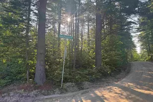 5 John Hodsdon Rd, Ossipee, NH 03864 - Photo 1