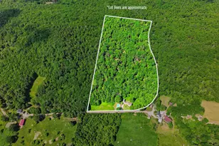 779 Liberty Hill Rd, Henniker, NH 03242 - Photo 9