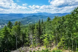 87 Presidential Rd, Jackson, NH 03846 - Photo 51