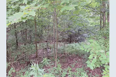 447 Pratt Road, Alstead, NH 03602 - Photo 11
