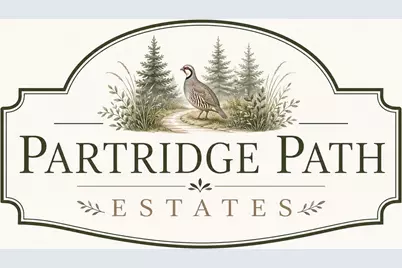 9 Partridge Path, Sandown, NH 03873 - Photo 5