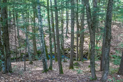 141 Red Eagle Brook Road, Conway, NH 03818 - Photo 57