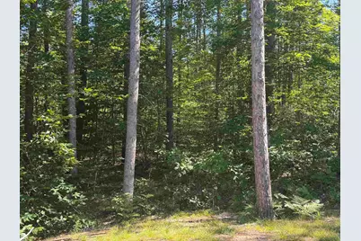 58 Wiggin Lane, Tamworth, NH 03817 - Photo 19