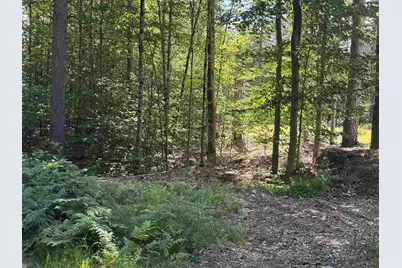 58 Wiggin Lane, Tamworth, NH 03817 - Photo 29