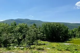 114 Park 10 Rd, Newbury, NH 03255 - Photo 1