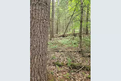 00 Straford Drive, Haverhill, NH 03785 - Photo 1
