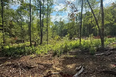 Lot 9-3 Roxbury Road, Sanbornton, NH 03269 - Photo 5
